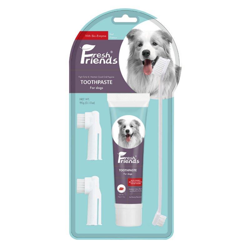 Fresh Friends Beef Flavour Dental Care Kit (Dogs) - Animall Philippines