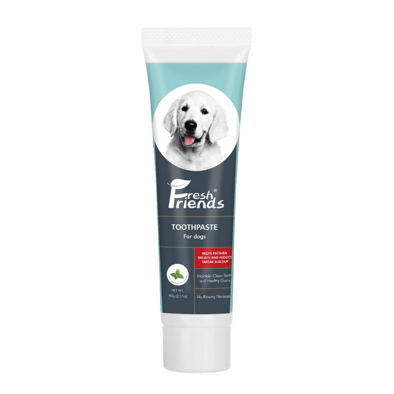 Fresh Friends Dog Toothpaste Mint Flavor 90g - Animall Philippines
