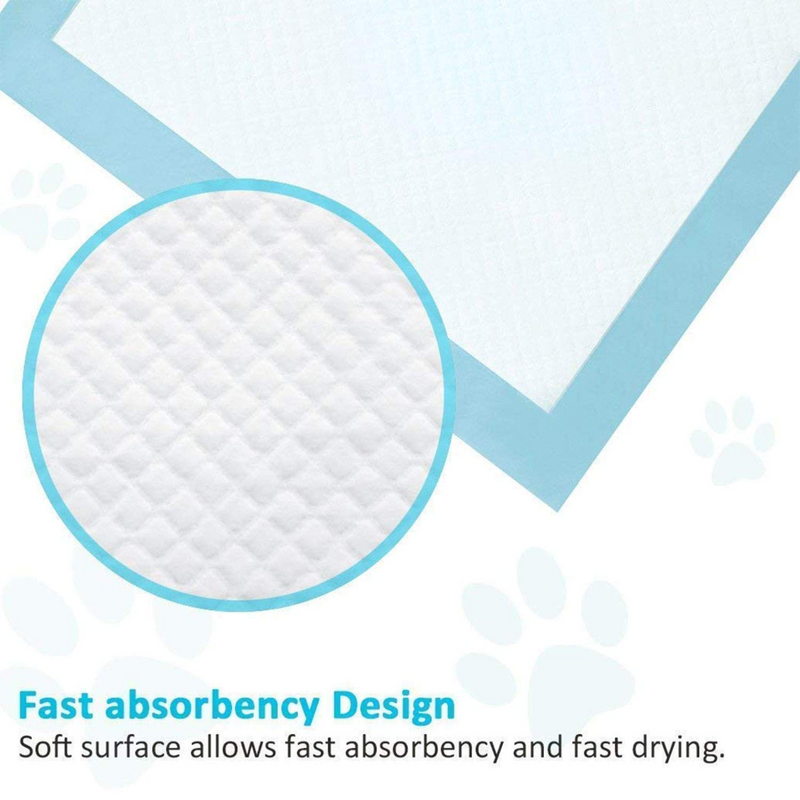 Petter Dog Training Pads - Small (33x45cm) 100 Pads - Animall Philippines
